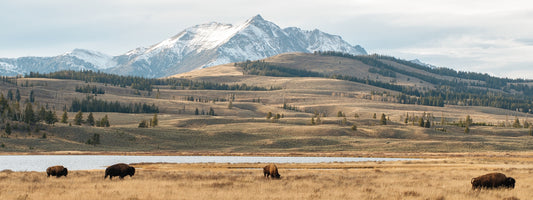 RECOMMENDED TOP 5 NATIONAL PARKS