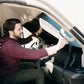 Ford Transit Stealth Front Windshield Cover