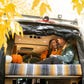 Mercedes Sprinter Bug Screen - Rear Door