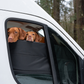 Ram Promaster Stealth Front Door Window Covers (Pair)