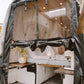 Mercedes Sprinter Bug Screen - Rear Door