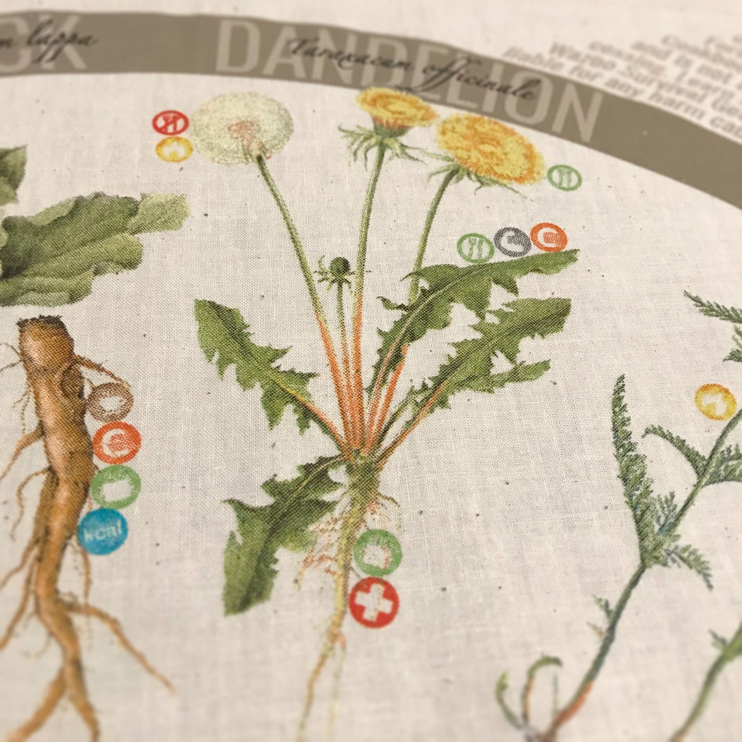 Foraging Bandana