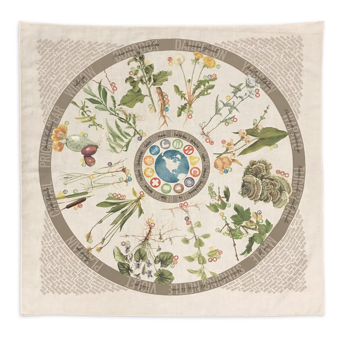 Foraging Bandana