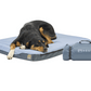 HEST Dog Bed