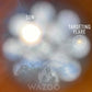 Flare™ Mini Signal Mirror