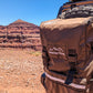 The Max Adventure Spare Tire Trash Bag