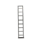 Promaster High Roof Side Ladder
