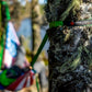 Trunk Straps - Hammock Suspension Straps