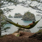 Wallaby Hammock with Straps