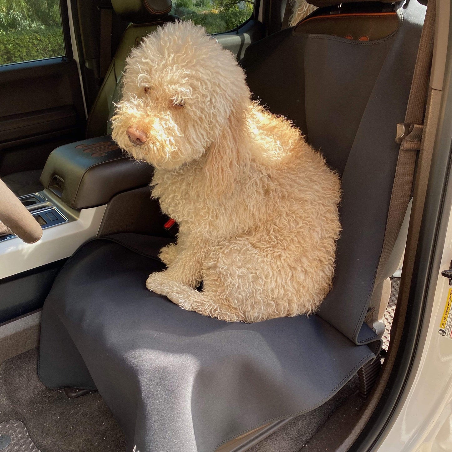 SeatGuard Non-Slip Waterproof Car Seat Cover (2-Pack) – Durable Seat Protector for Beach, Gym & Pets