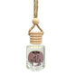 Wild Vanilla Car Freshener