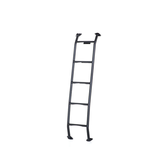 Sprinter Low Profile Rear Door Ladder